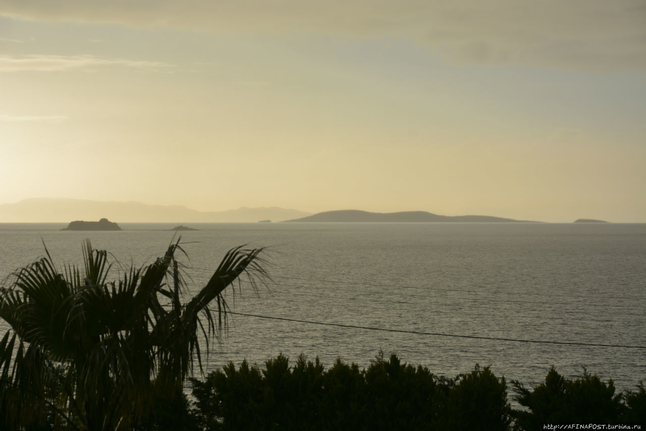 Все оттенки серого