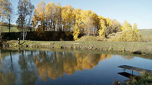 Краски осени