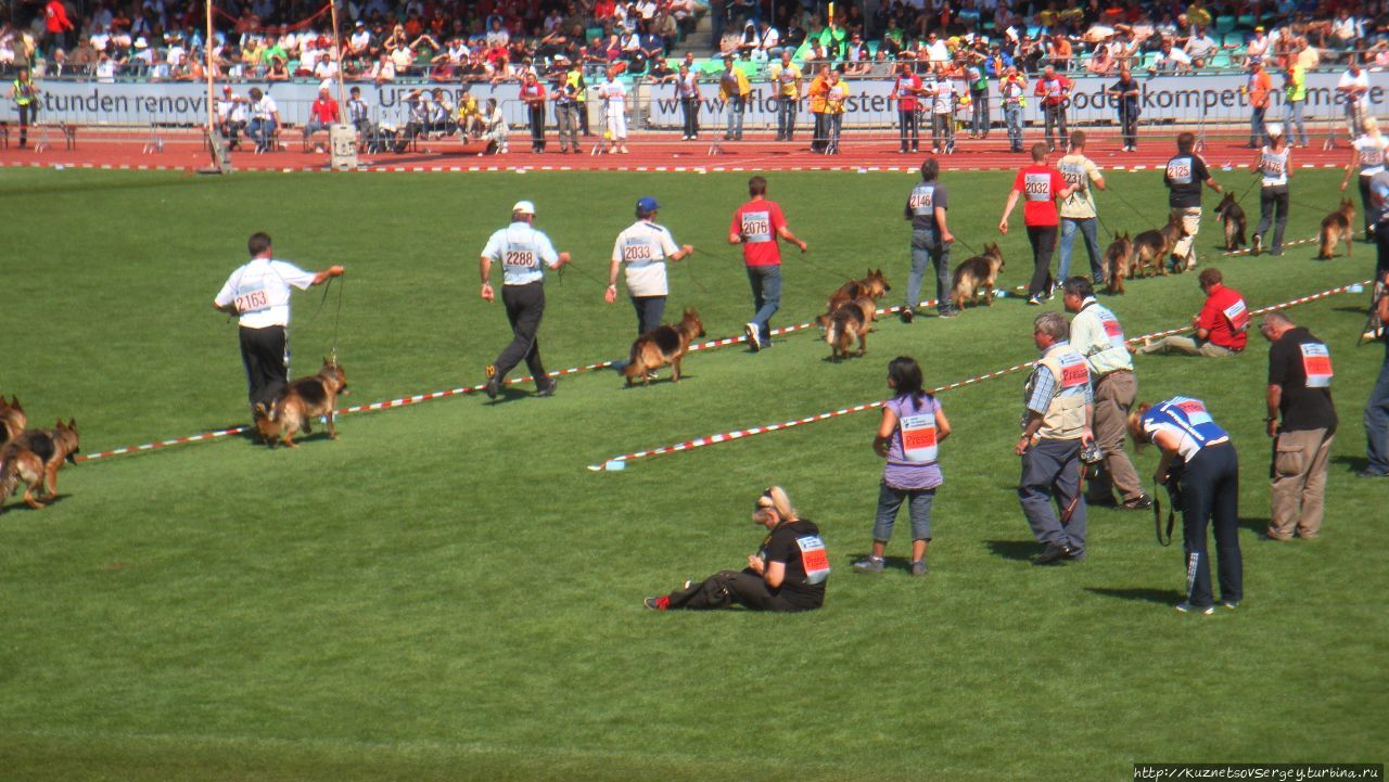 Зигер в Ульме Ульм, Германия