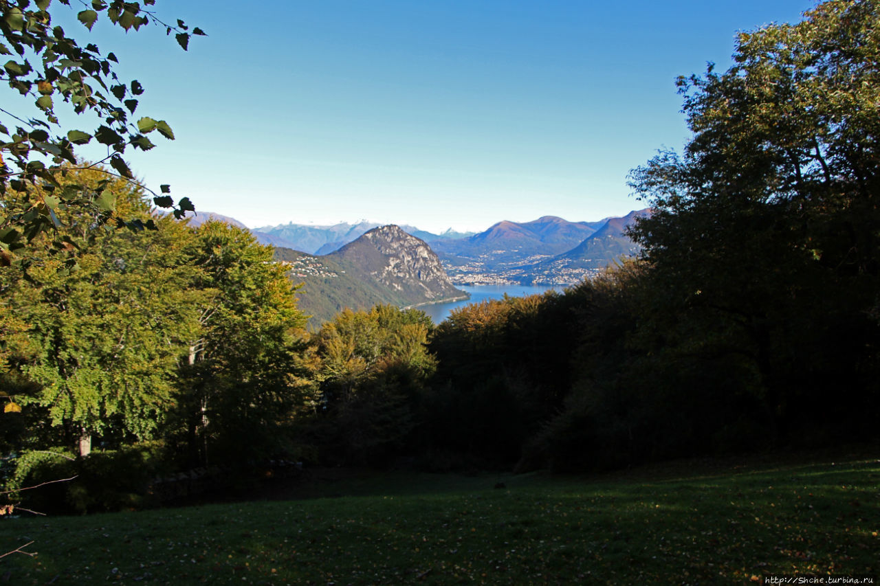 Лесистые склоны горы святого Джорджио Монте Сан-Джорджио гора (1097м), Швейцария