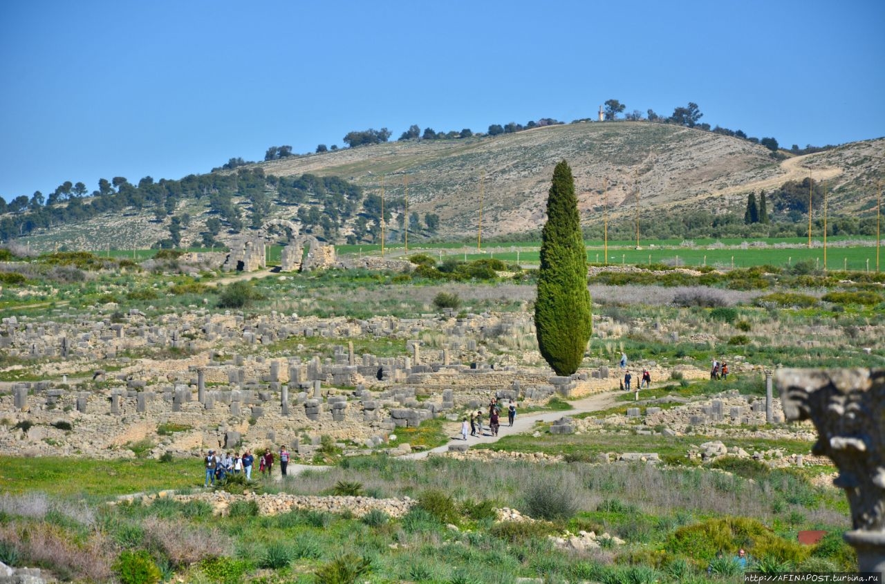 Археологические памятники Волюбилиса Волюбилис (древний римский город), Марокко
