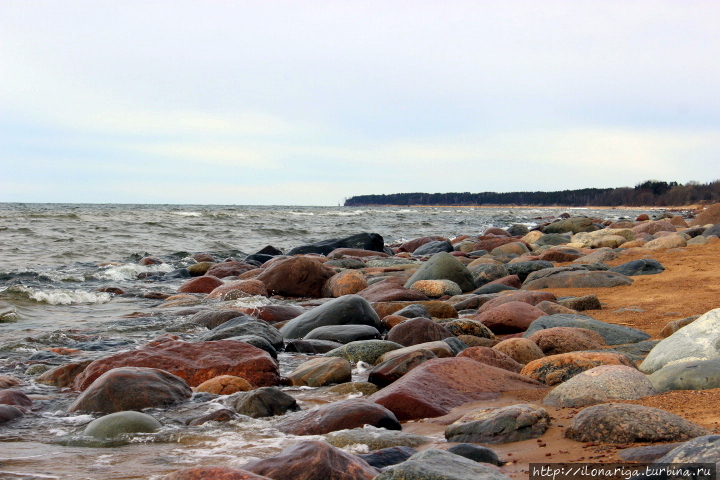 Немного про камни в пасмурный день Саулкрасты, Латвия