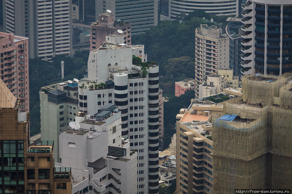 Крыши высоток по большей части освоены и обжиты. Виктория, Гонконг