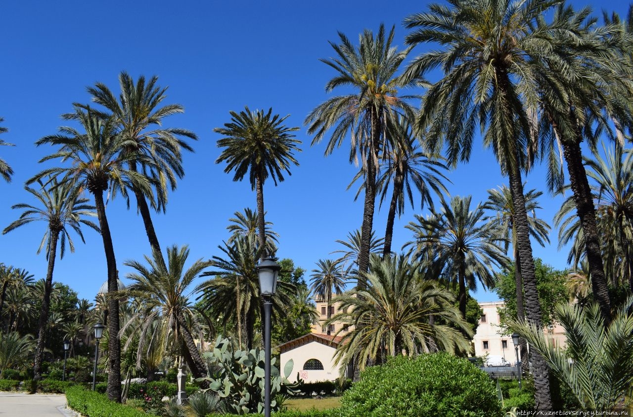 С Первомаем по жизни С Первомаем по жизни