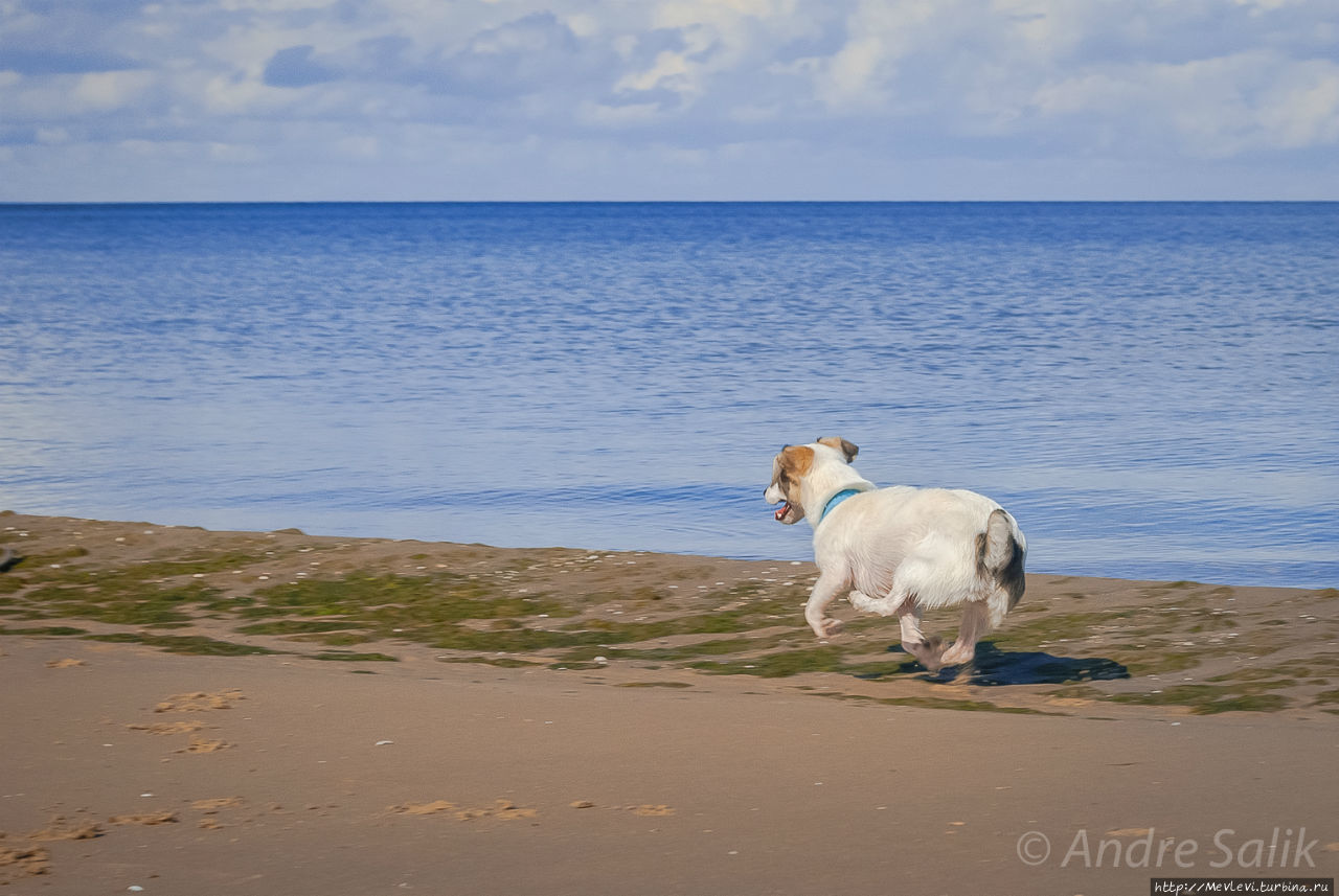 Природный парк Ragakāpa. Юрмала, Латвия