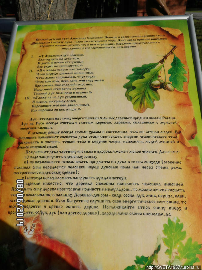 У лукоморья дуб зелёный Башкортостан, Россия