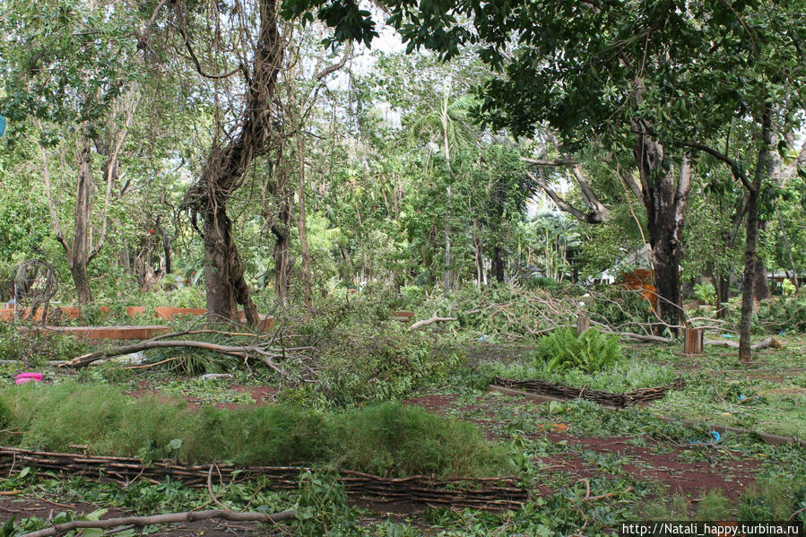 Последствия стихии Сен-Дени, Реюньон