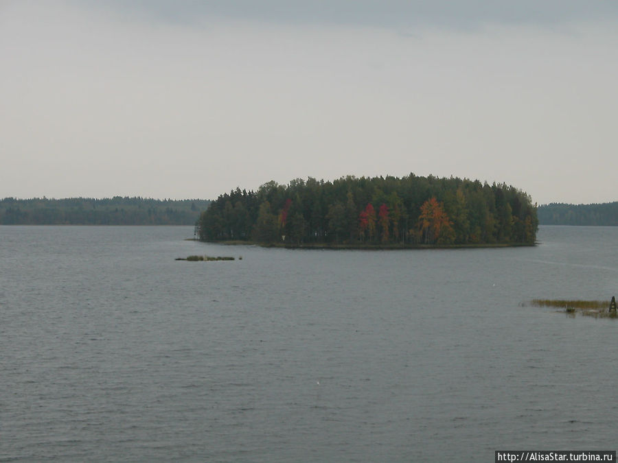 Остров на озере Пихлаявеси в местечке Пункахарью Пункахарью, Финляндия