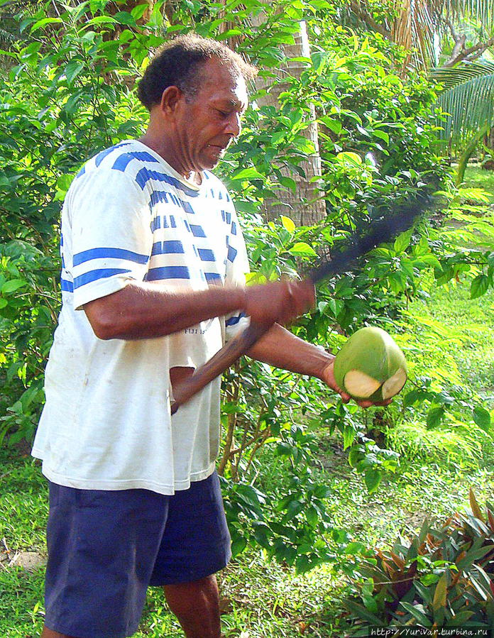 Открыть кокосовый орех — большое искусство Остров Дравака, Фиджи