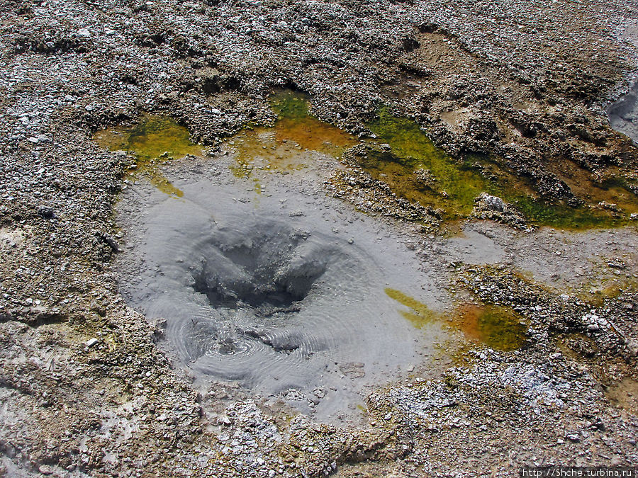 От гейзера к гейзеру. Возвращение на Geyser Hill Йеллоустоун Национальный Парк, CША