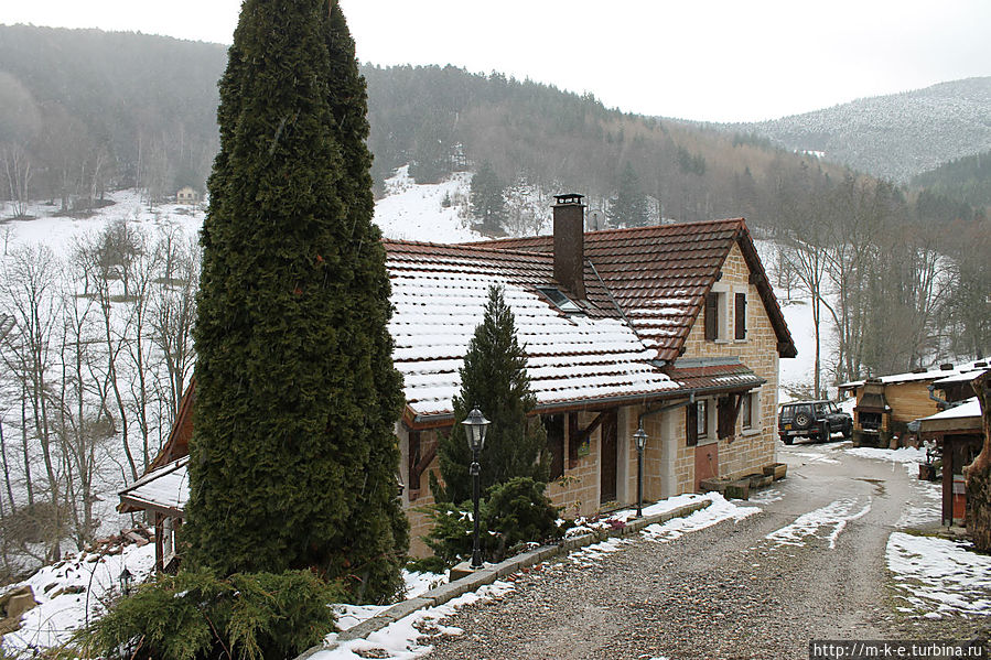 Отель Черная овца