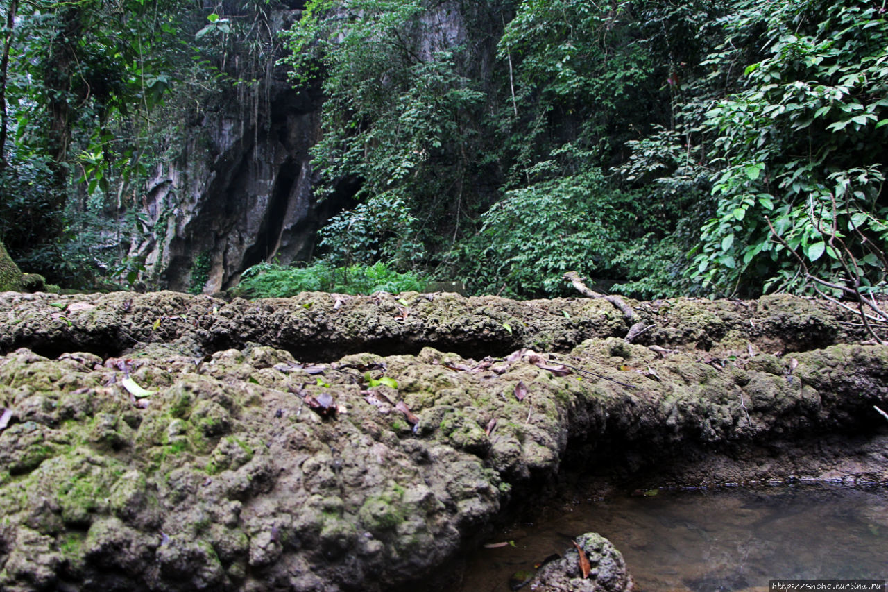 Полые скалы Вьетнама: золотые потолки пещеры Tu Lan Фонгня-Кебанг Национальный Парк, Вьетнам