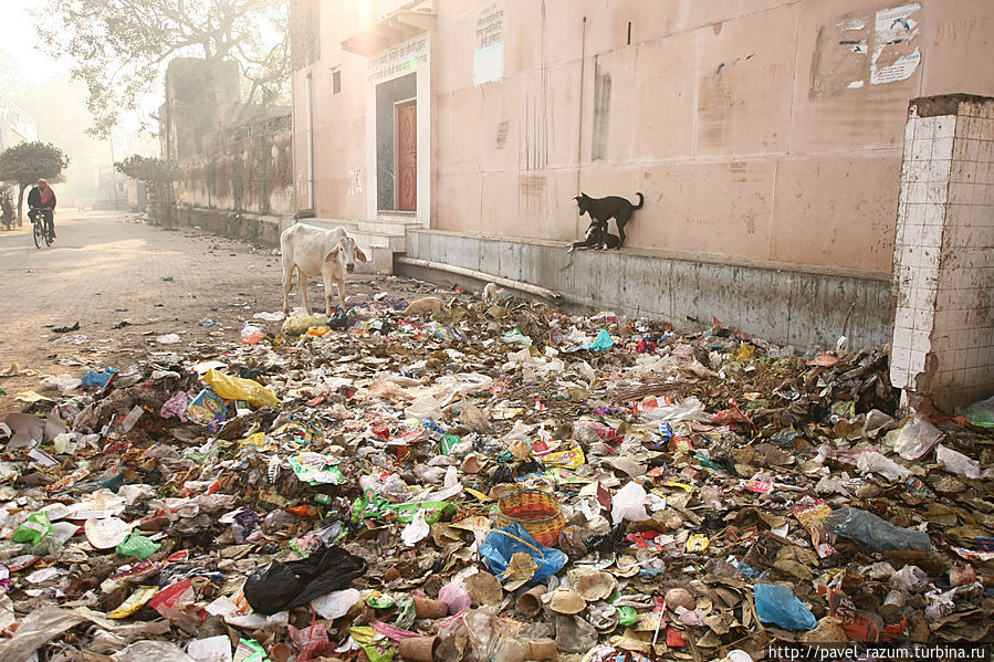 Да, это — Индич!