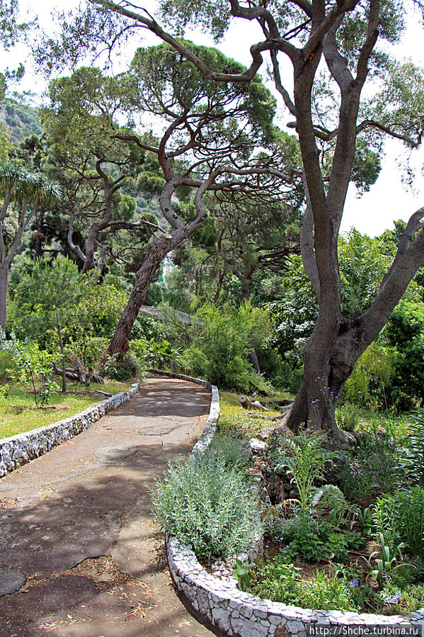 Прогулка по аллеям Ботанического сада Гибралтара Гибралтар город, Гибралтар