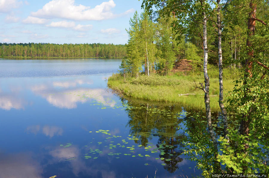 Будет Карелия сниться! Костомукша, Россия