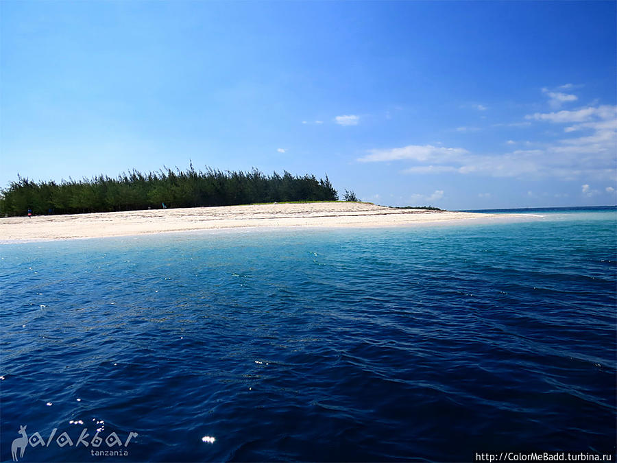 а это — Mbudya island. В 15 минутах на катере от пляжа. Рано утром подплыли к нему. Последний катер на берег — в 17.00 Танзания