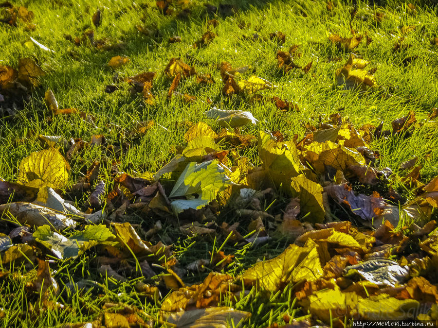 Рига в октябре Рига, Латвия