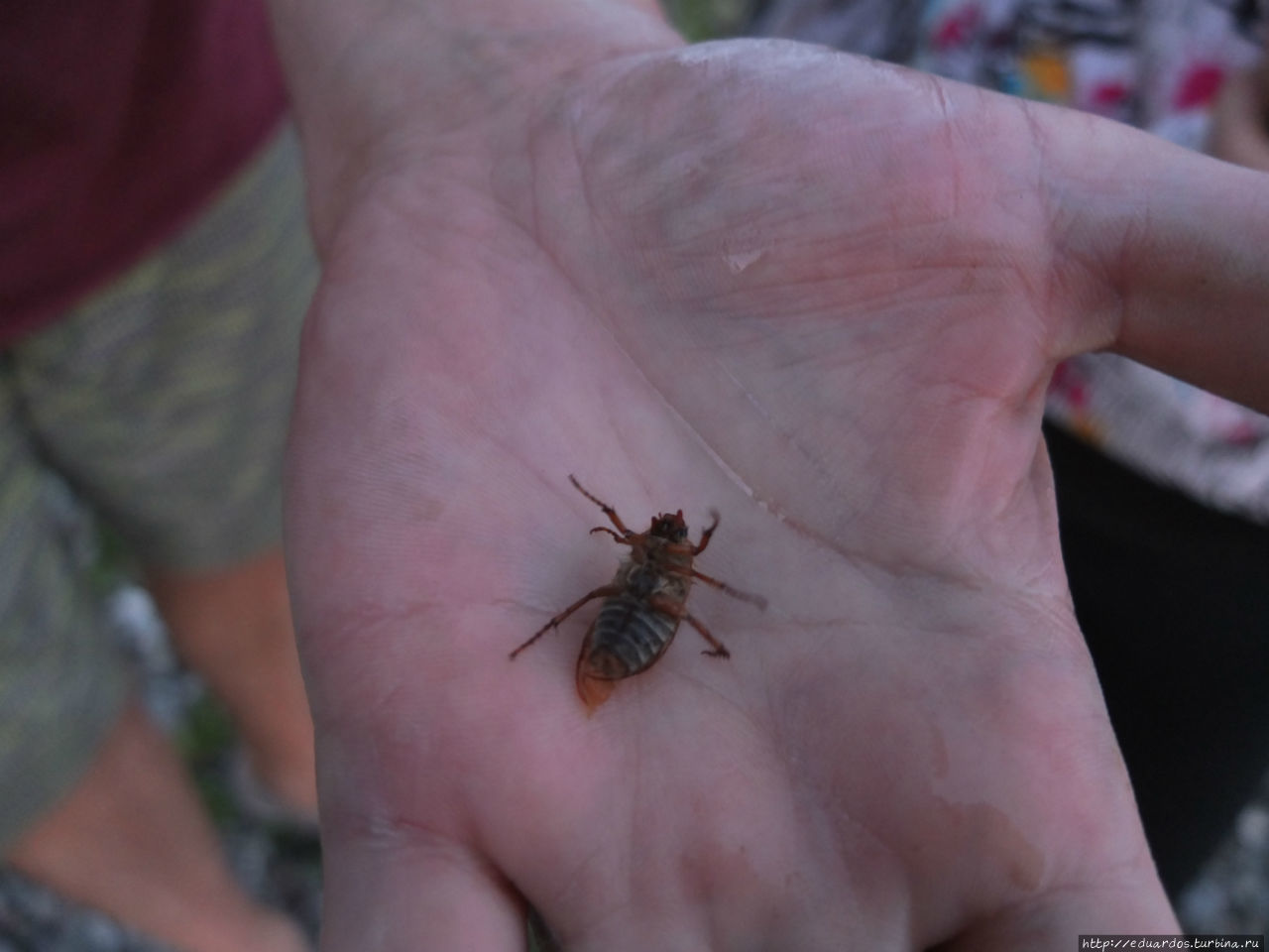 Туман над Енисеем Красноярск, Россия