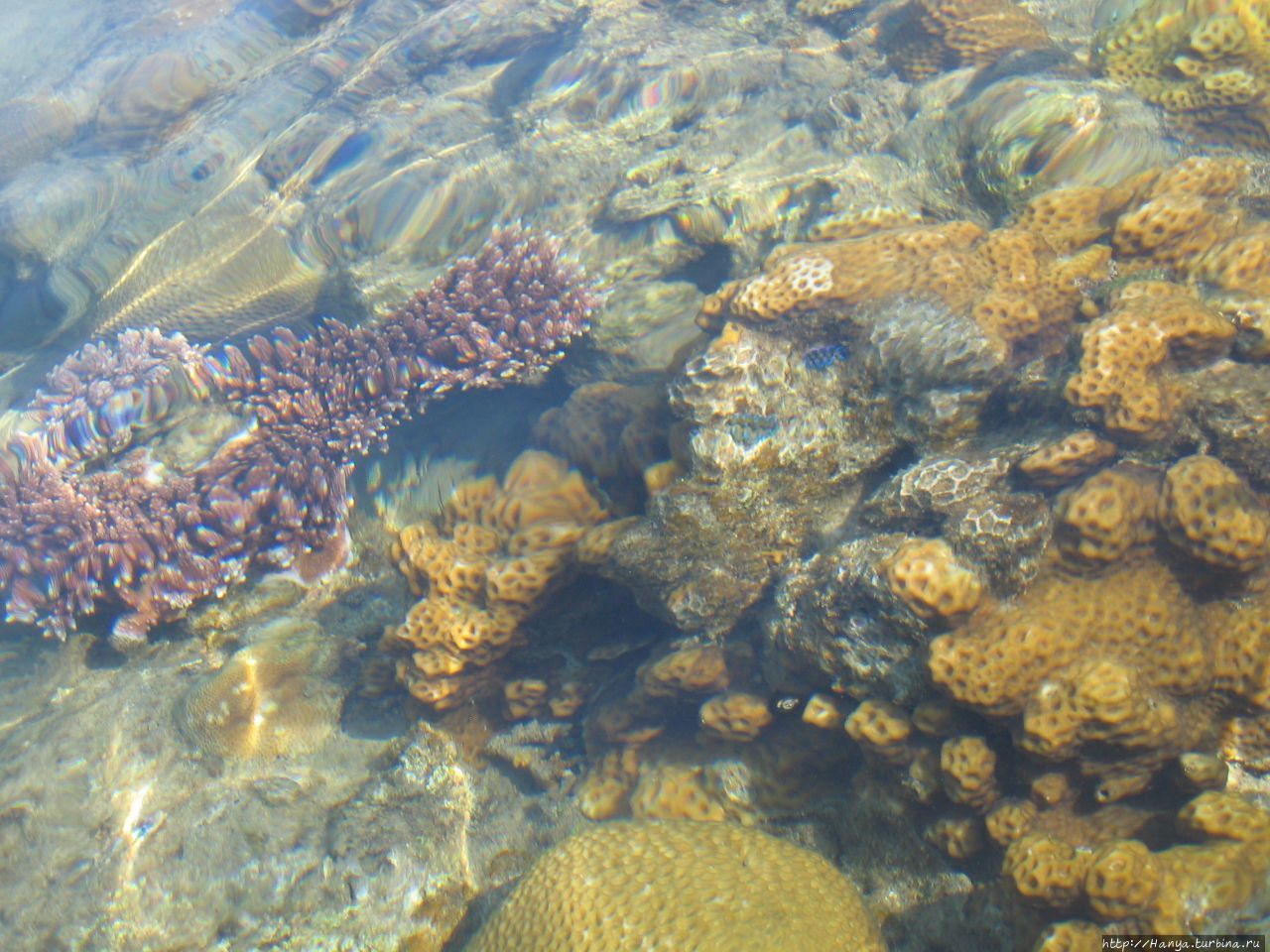 Пляж отеля Berjaya Tioman Beach Пулау-Тиоман, Малайзия