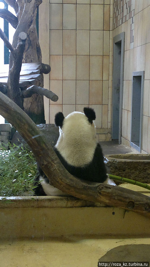 только с этого ракурса :(
все время занят приемом пищи