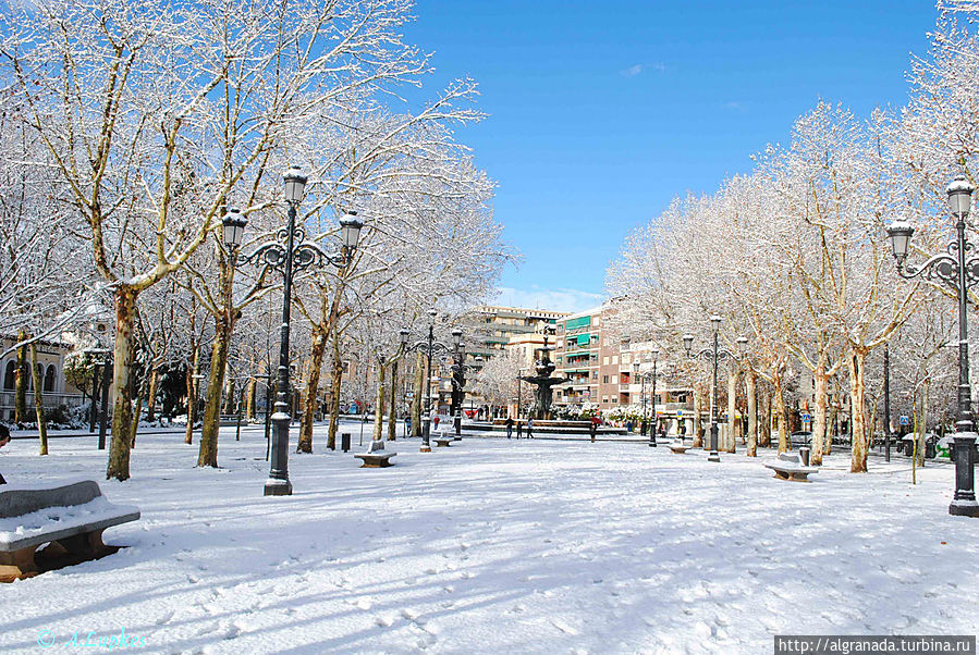 Апельсины в снегу Гранада, Испания