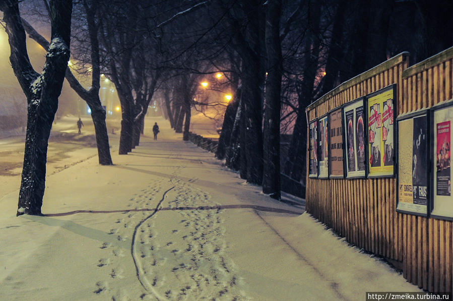 За ночь навалило снега Таллин, Эстония