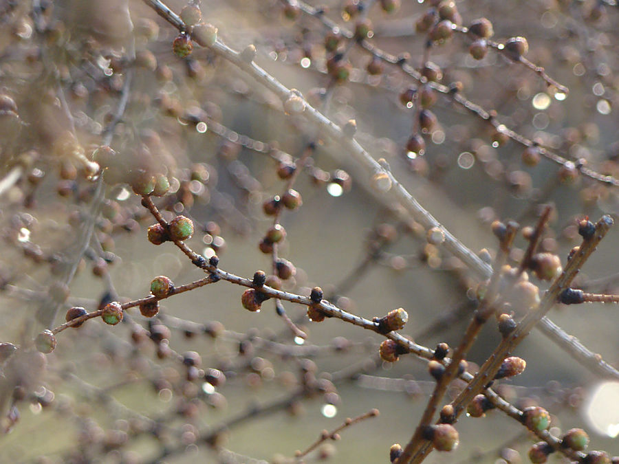 Девочки! Весна! Москва, Россия