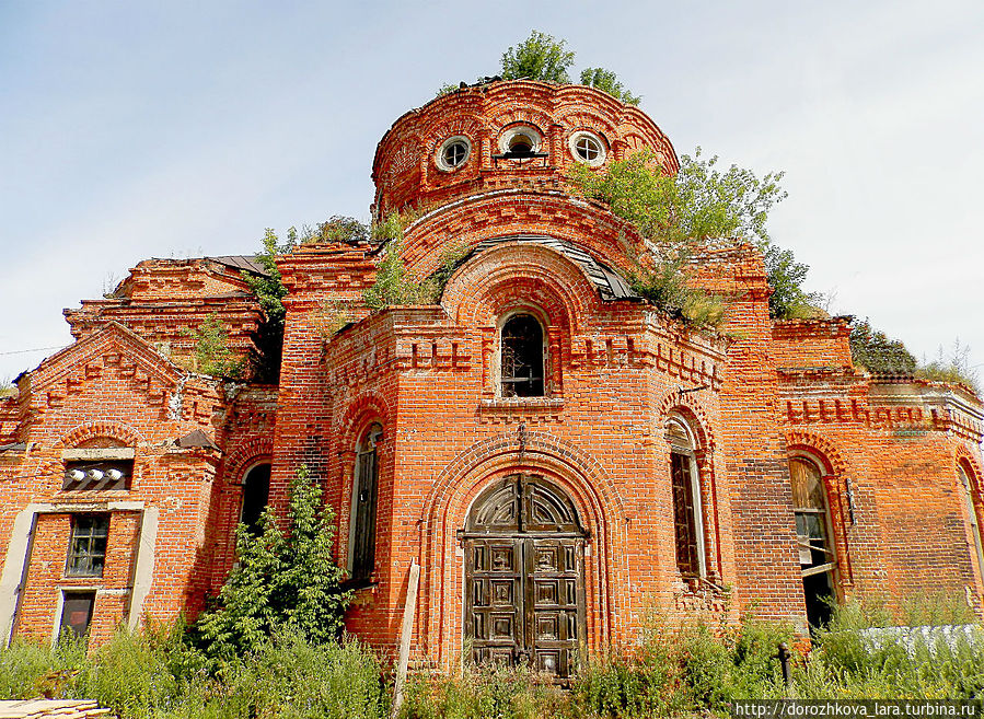 Горбатов – родина родительской вишни Горбатов, Россия