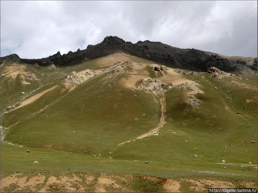 Возвышенности в долине, покрытые низкой растительностью вперемежку со скальными образованиями, смотрятся очень живописно. Чуйская область, Киргизия