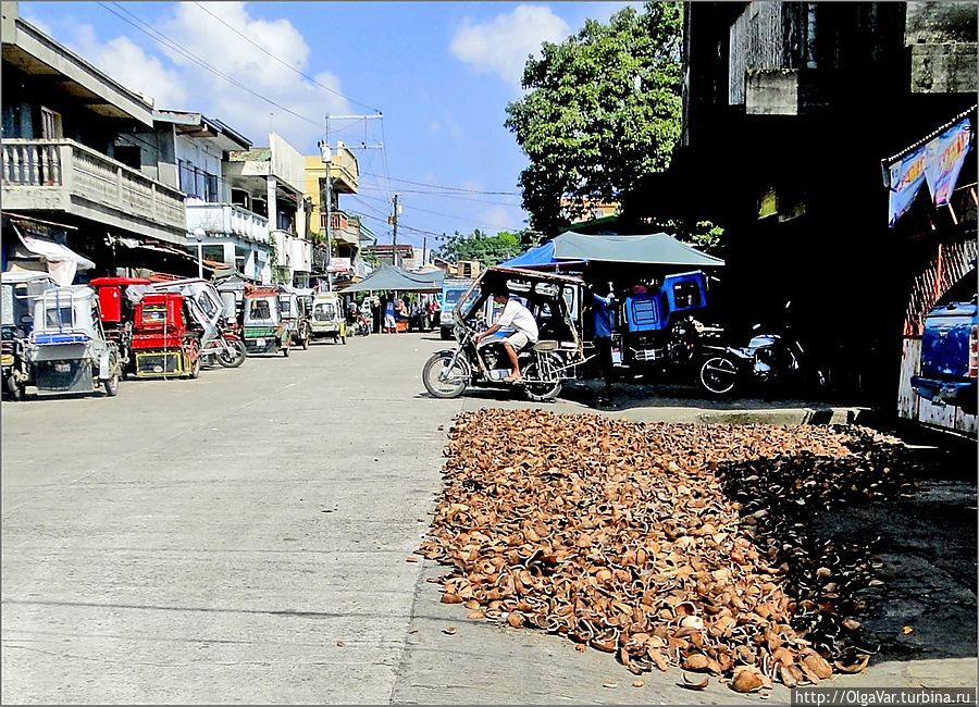 А это на центральной улице вялятся кокосы... Булусан, Филиппины