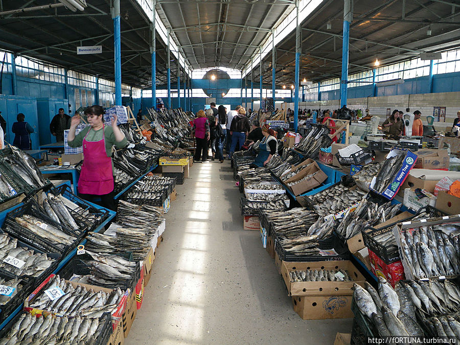 Уикенд  на Волге Астрахань, Россия