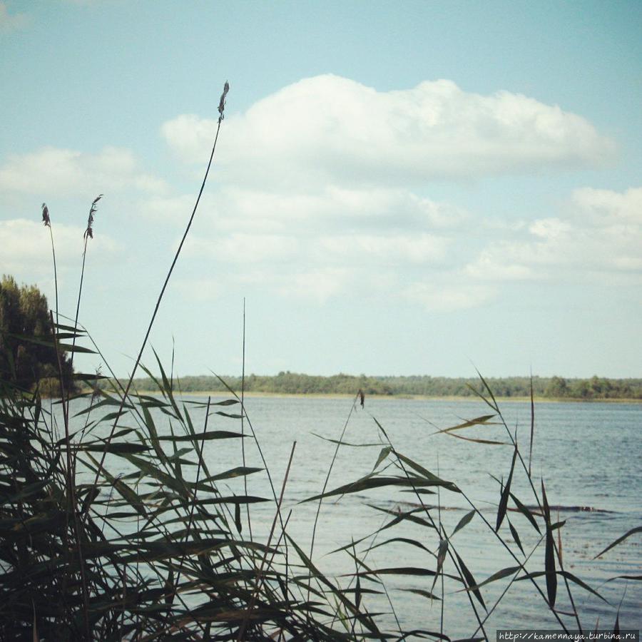 Озеро Бородаевское Ферапонтово, Россия