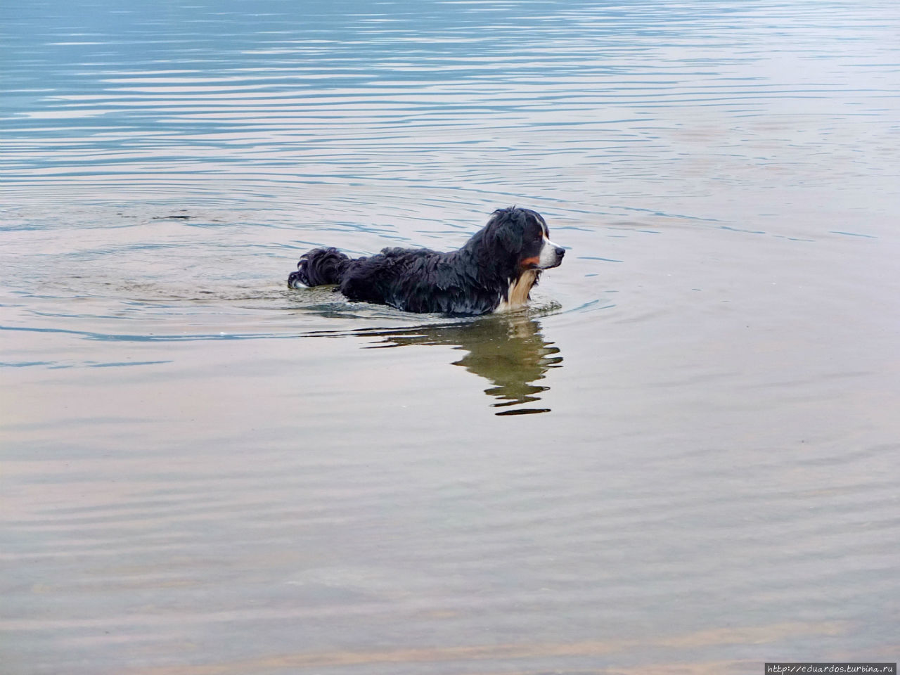 Вечер на Енисее Красноярск, Россия