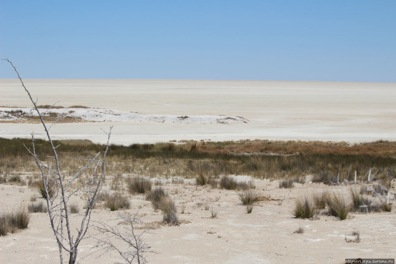 А в основном, конечно, Этоша оправдывает свое название — большое белое пространство Этоша Национальный Парк, Намибия
