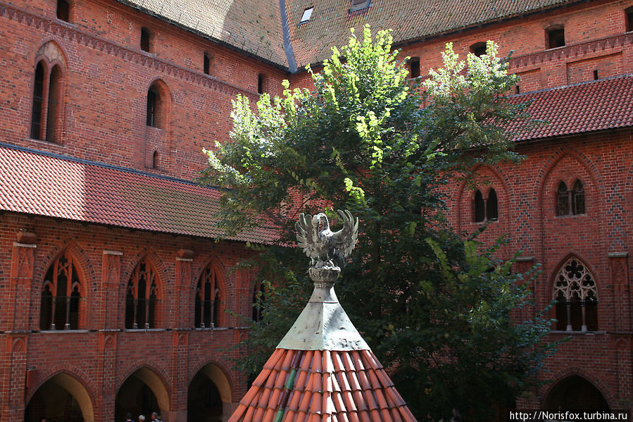 Вид из открытой галереи во двор на Пеликана -символ ордена Мальборк, Польша