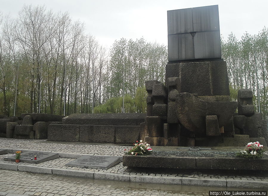 В 1967 год на территории Аушвиц-Биркенау был поставлен международный памятник его жертвам. Надписи на нём были выполнены на языке народов, представители которых были здесь замучены Освенцим, Польша