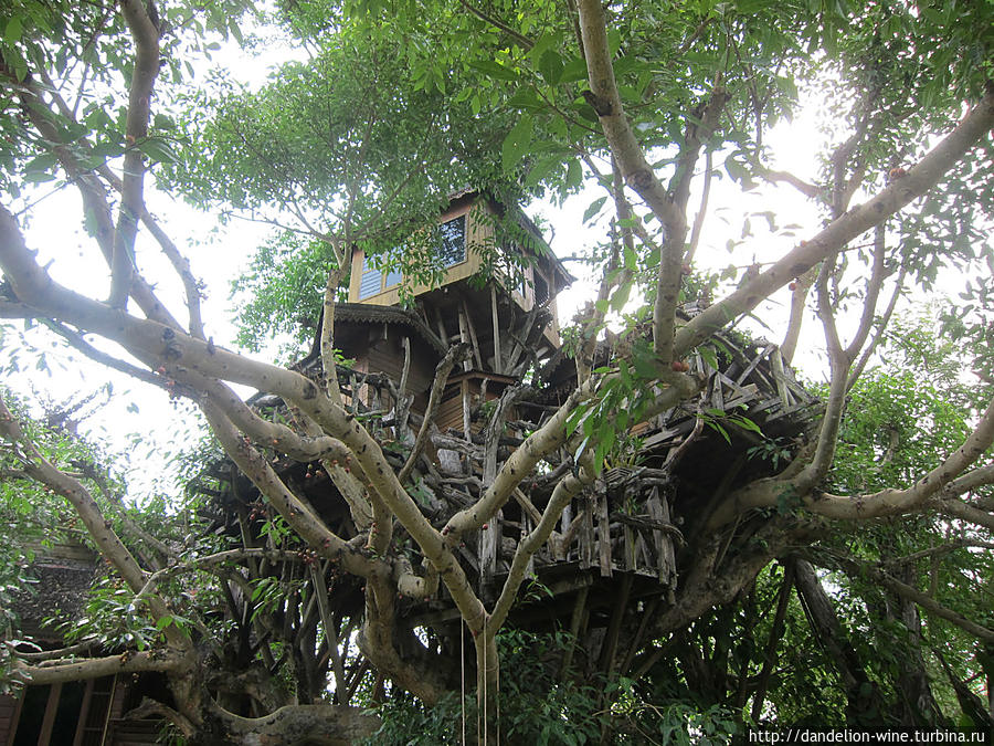 Pai Tree House Пай, Таиланд