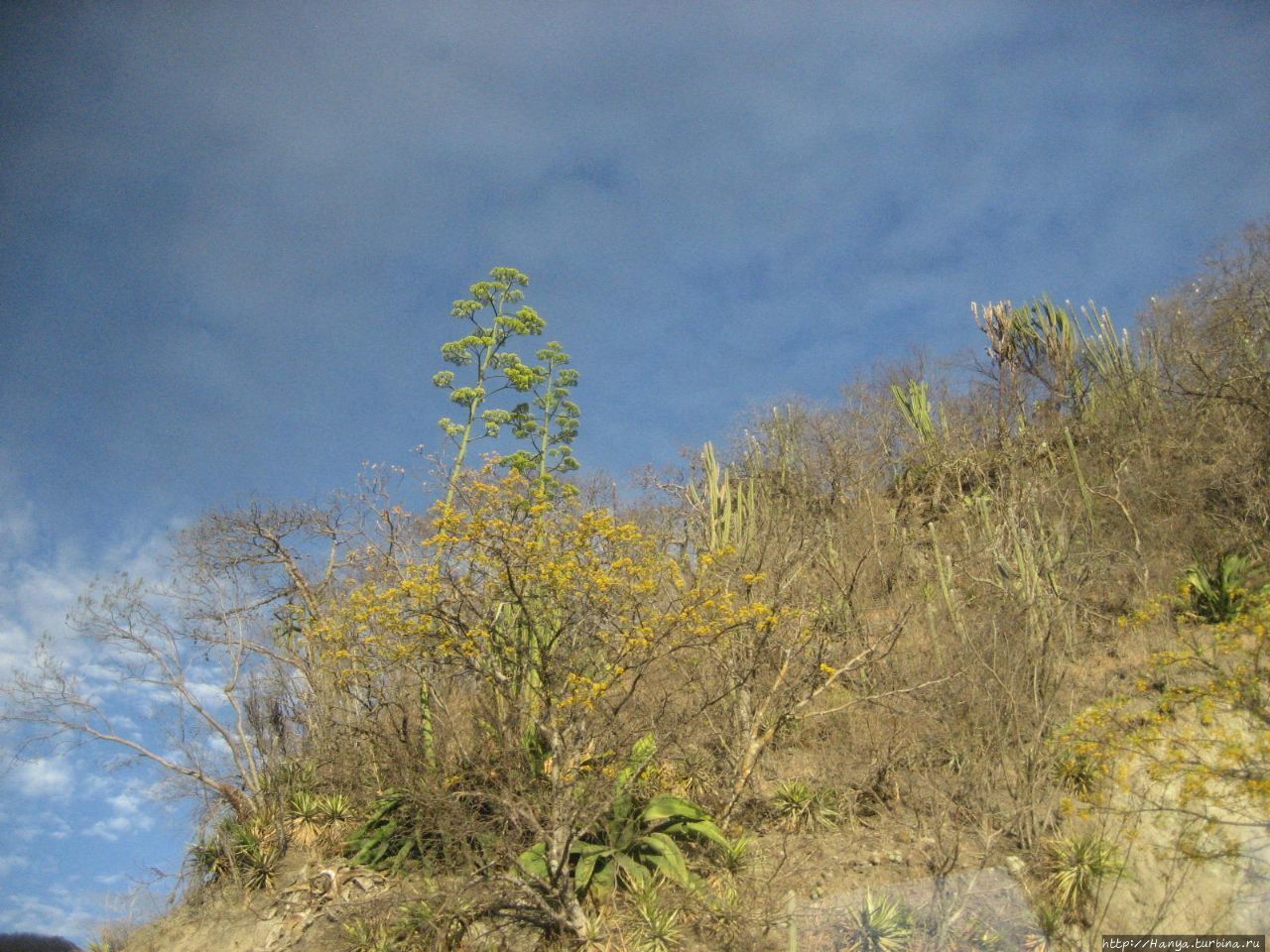 Сюрреалистические пейзажи за окном по пути в Теуантепек Ч.66 Мексика