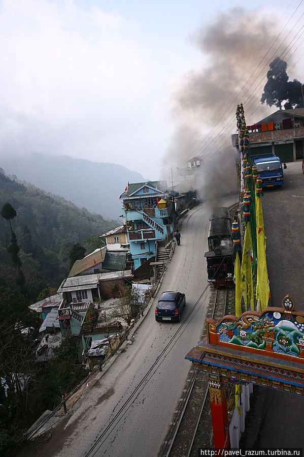 Индо-Непал (13) - Индийские Гималаи, Дарджилинг
