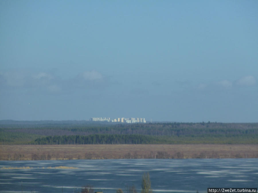 Под соснами Северной Ривьеры Сестрорецк, Россия