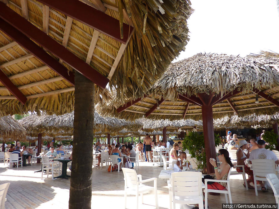 Ресторан прямл у пляжа со шведским сторлом Баваро, Доминиканская Республика