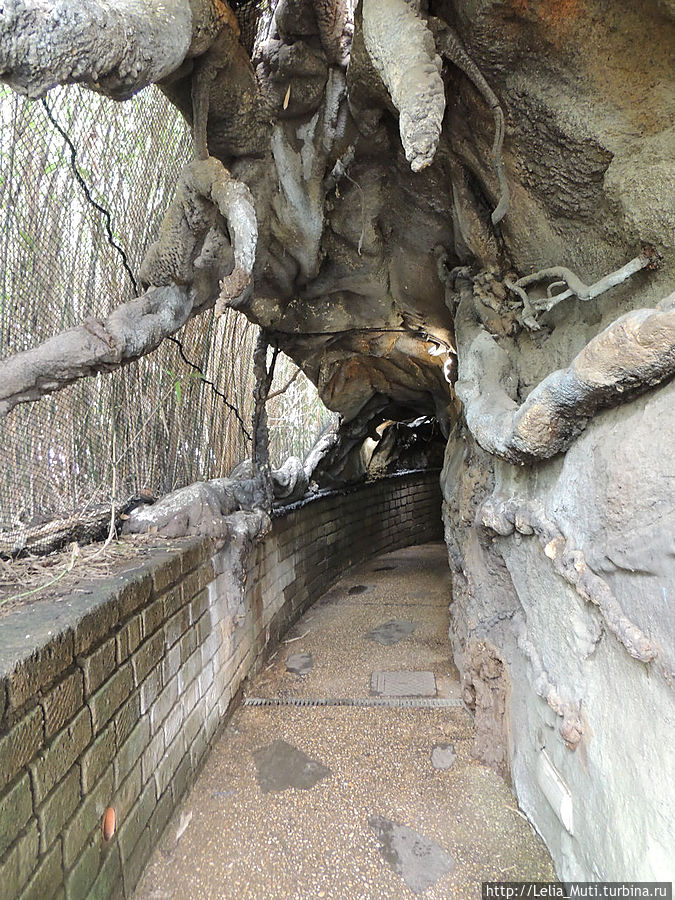 Zoo Roma Рим, Италия