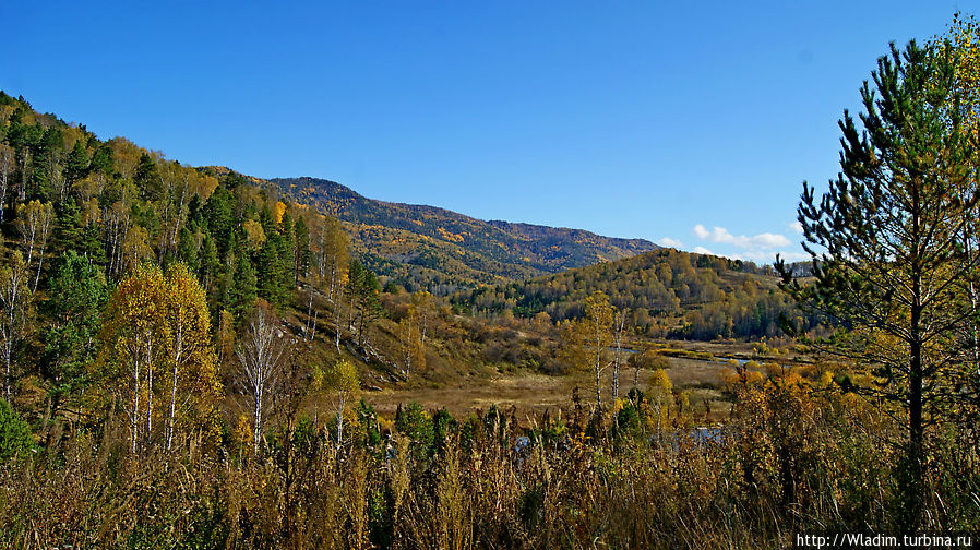 Золотая осень на Золотом кольце Алтая Алтайское, Россия