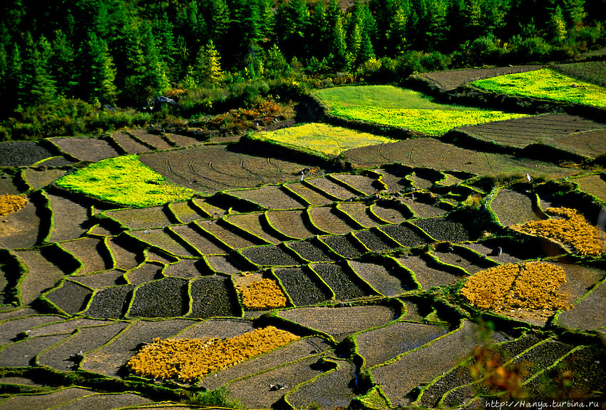 Из интернета