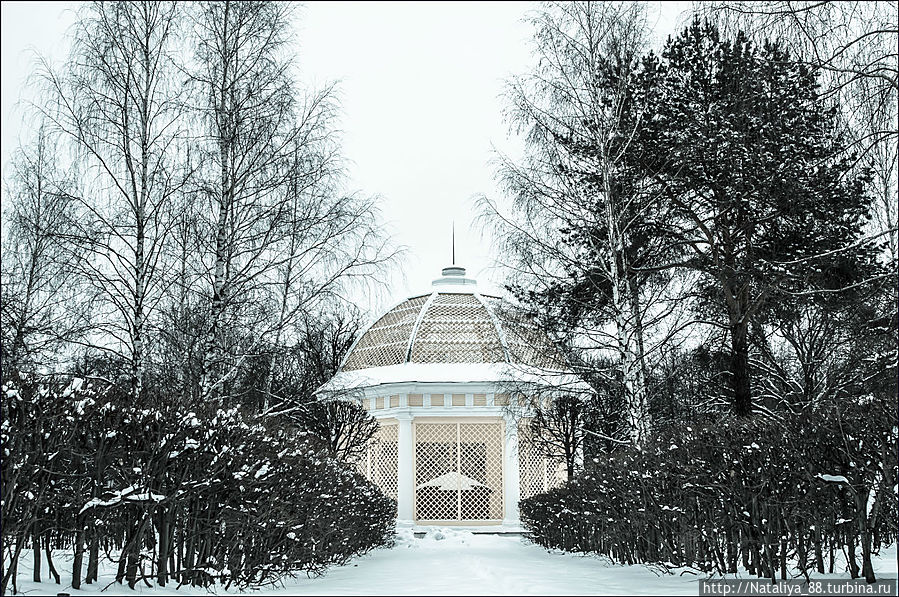 Зимний парк Кусково Москва, Россия