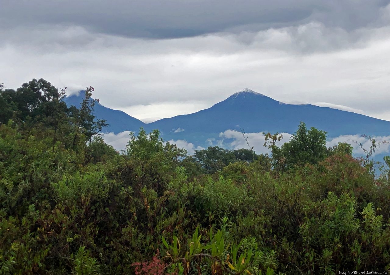 Вулкан Ньирагонго Вулкан Ньирагонго (3470м), ДР Конго