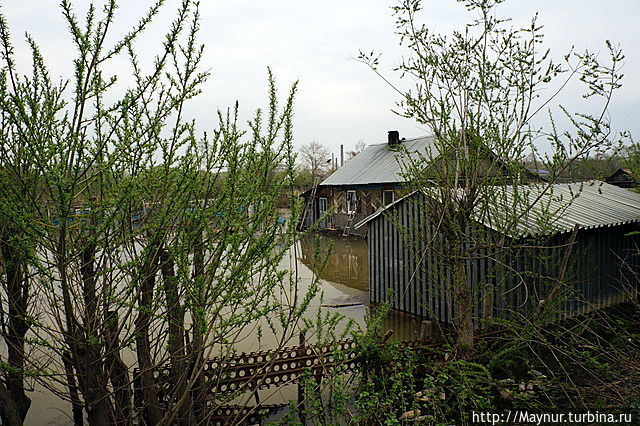 Подтоплены дома на окраинах города. Южно-Сахалинск, Россия