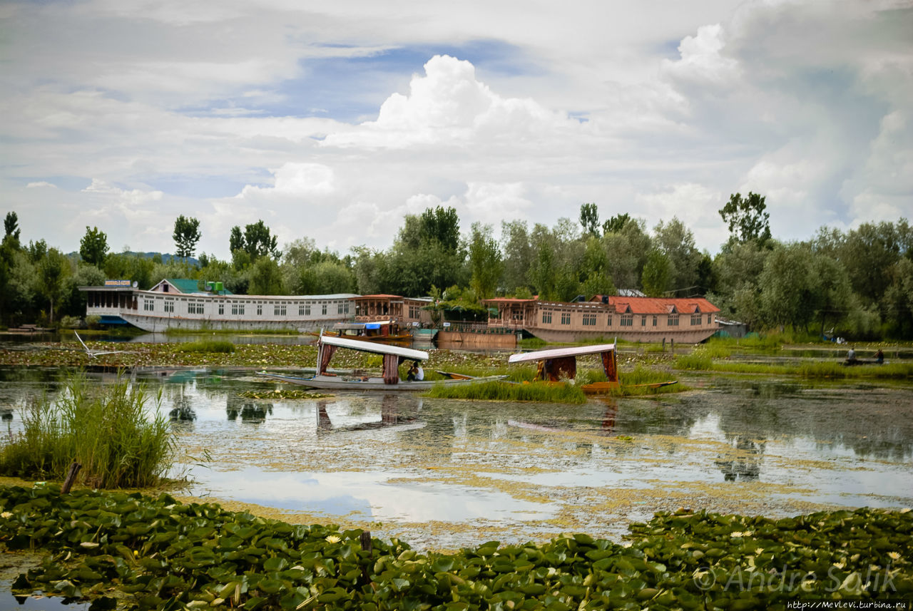Полуденное зеркало озера Дал Шринагар, Индия