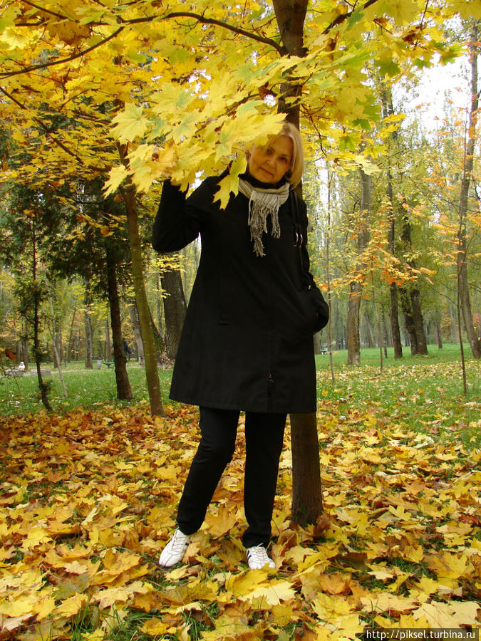 Под сенью листьев золотых...
Дорогожицкий парк Киев, Украина