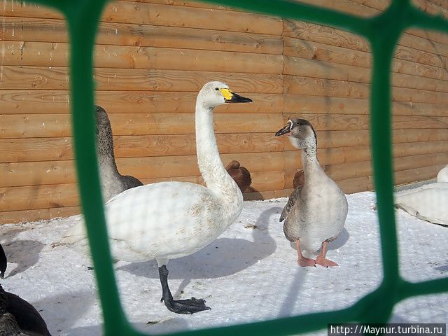 Парк им. Ю. А. Гагарина Южно-Сахалинск, Россия